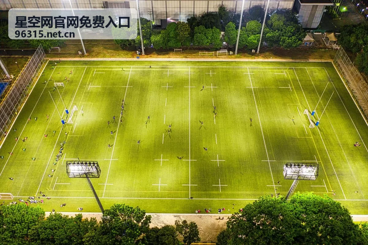 访问准备：核对入口地址的示意截图