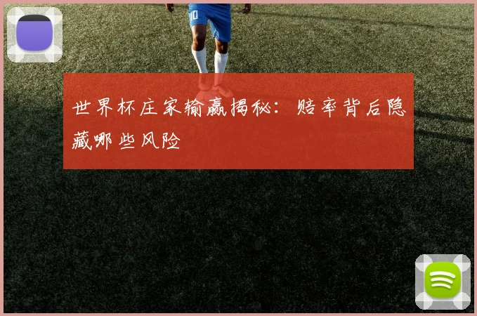 世界杯庄家输赢揭秘：赔率背后隐藏哪些风险