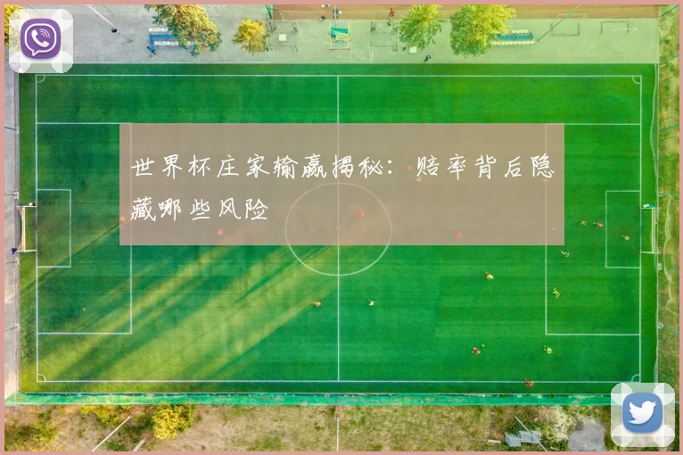 世界杯庄家输赢揭秘：赔率背后隐藏哪些风险
