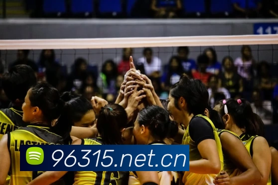 星空体育·「中国」官方网站平台生态图